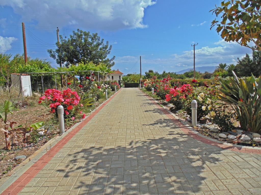 Eliofos Luxury Villa Polis Buitenkant foto