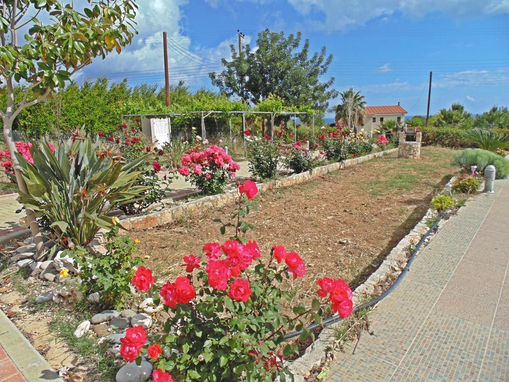 Eliofos Luxury Villa Polis Buitenkant foto