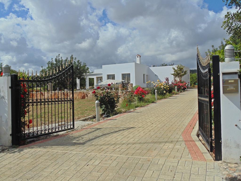Eliofos Luxury Villa Polis Buitenkant foto