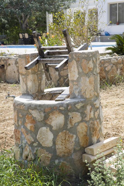 Eliofos Luxury Villa Polis Buitenkant foto