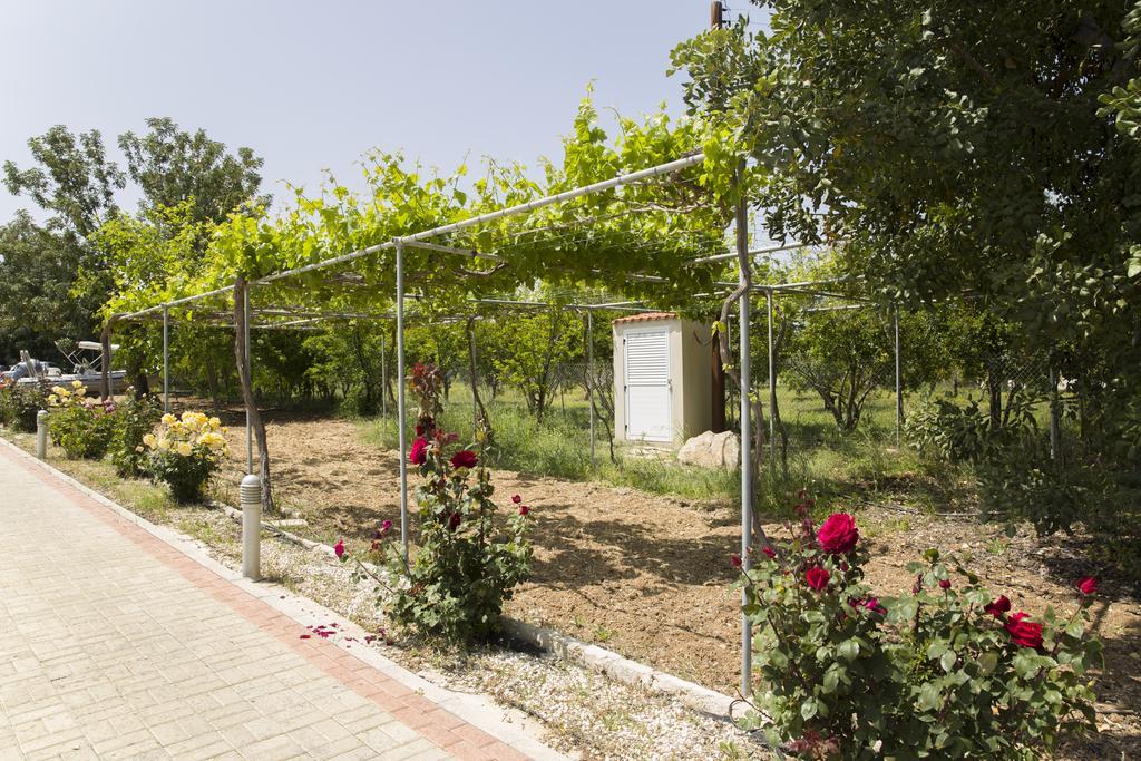 Eliofos Luxury Villa Polis Buitenkant foto