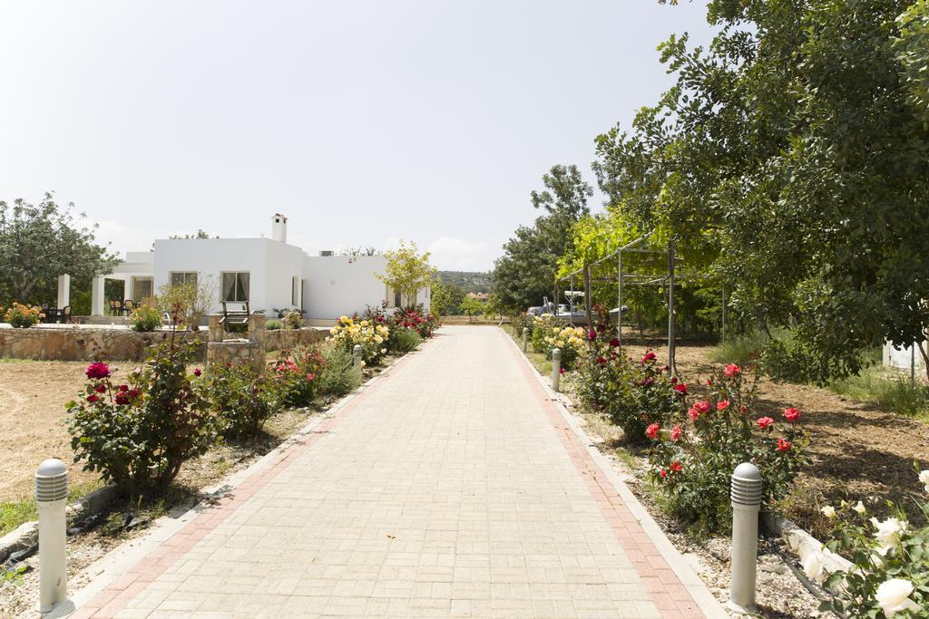 Eliofos Luxury Villa Polis Buitenkant foto