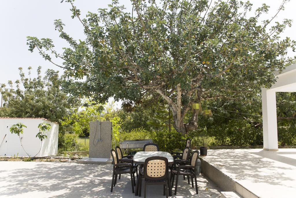 Eliofos Luxury Villa Polis Buitenkant foto